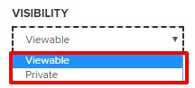 Viewable and Private select options under Visibility select box