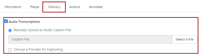 Audio Transcript Options